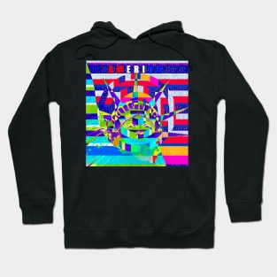 America land of many colors Hoodie